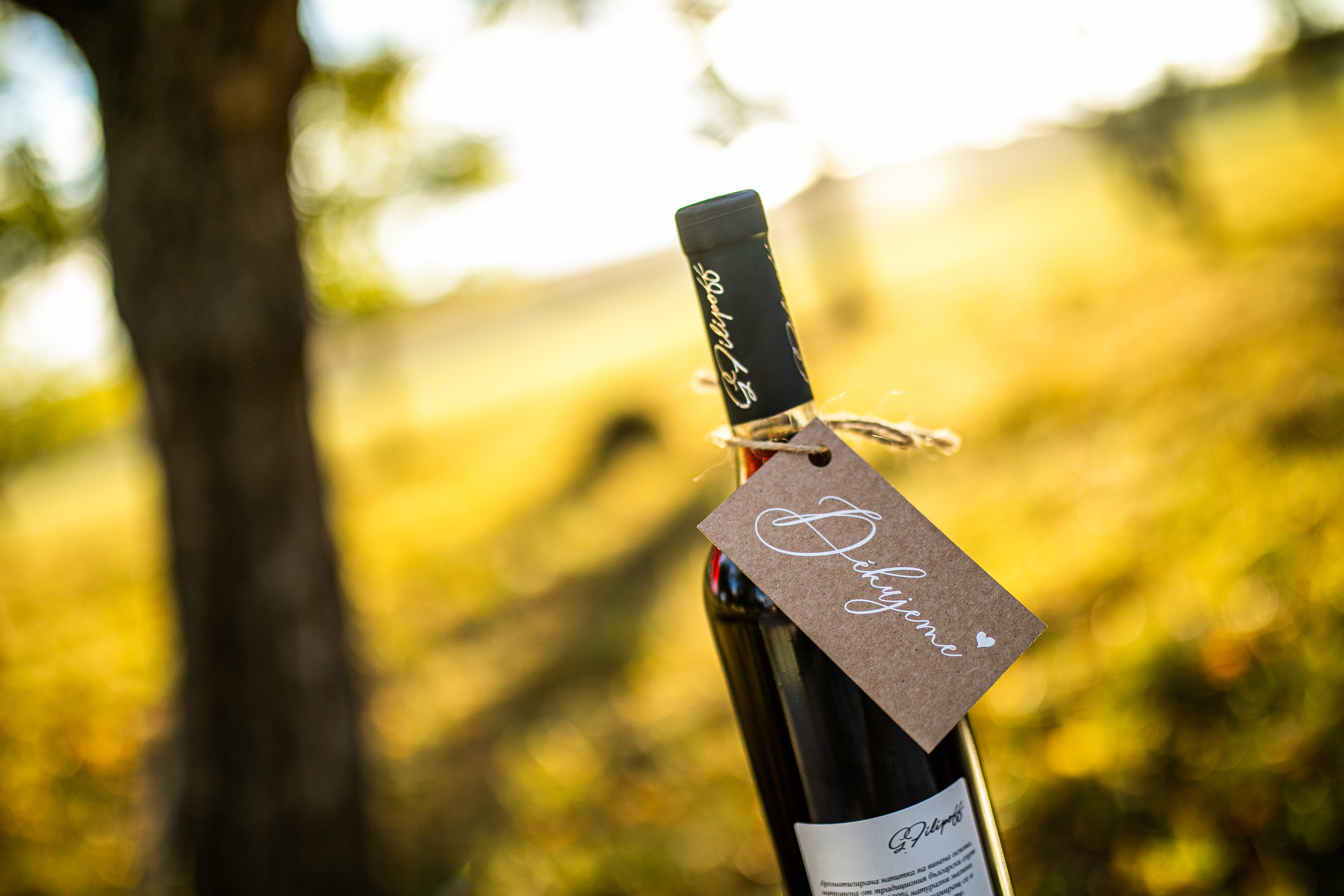 Vázání jutovým provázkem